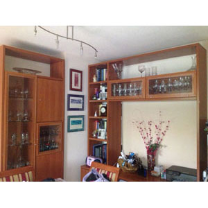 REGALO Se regala mueble-librera 2